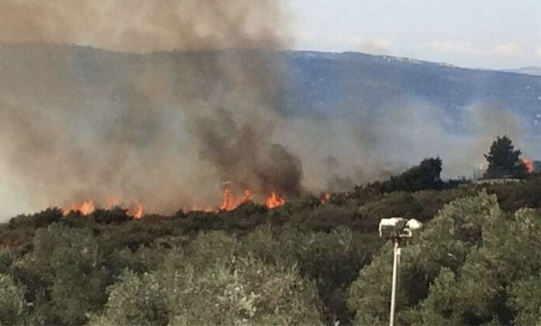 Πυρκαγιά σε δασική έκταση στο Kρυονέρι Αμαλιάδας στην Ηλεία